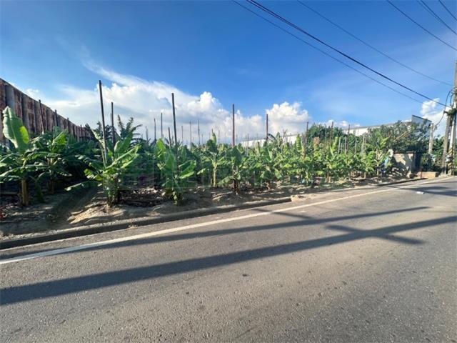 高雄大寮農地-11