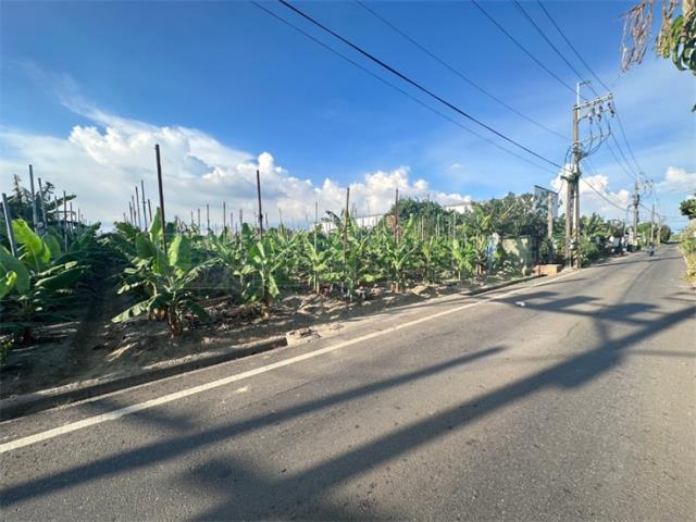 高雄大寮農地-12