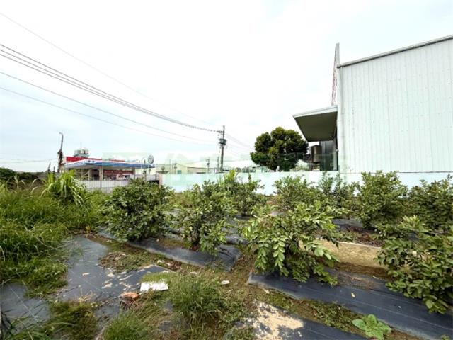 高雄大寮農地-5