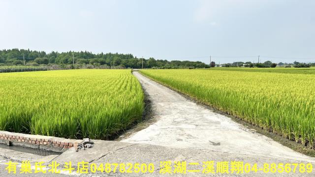 溪州農地-2