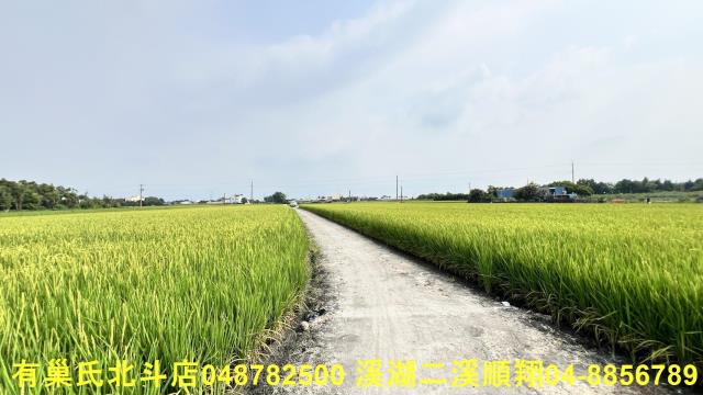 溪州農地-3