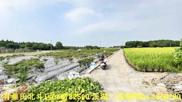 溪州農地-5