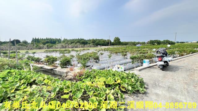 溪州農地-6