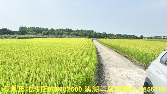 溪州農地-7