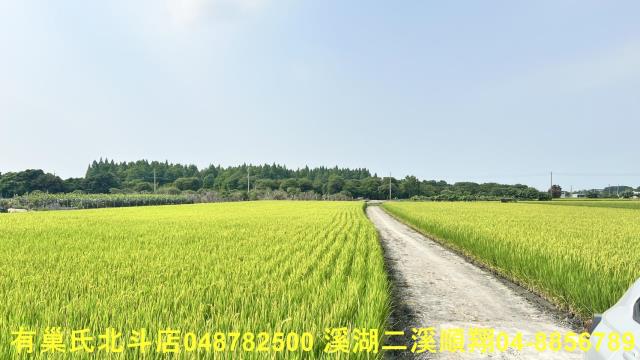 溪州農地-8