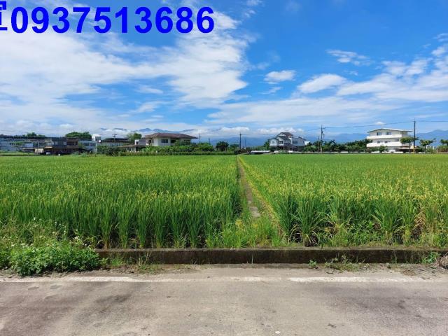 宜蘭農地-8