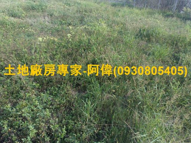大寮農地-1