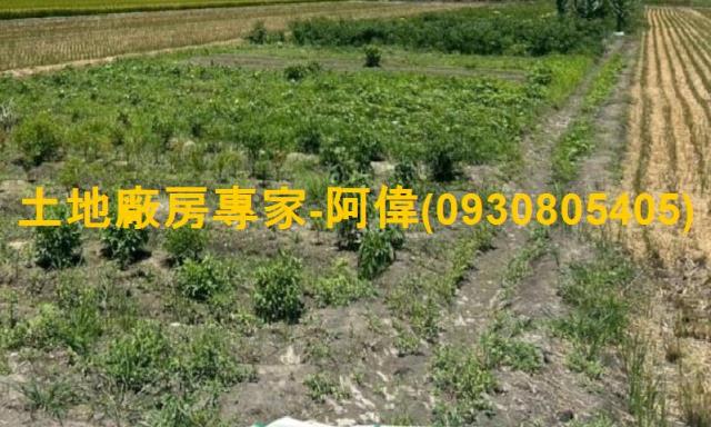 大寮農地-1