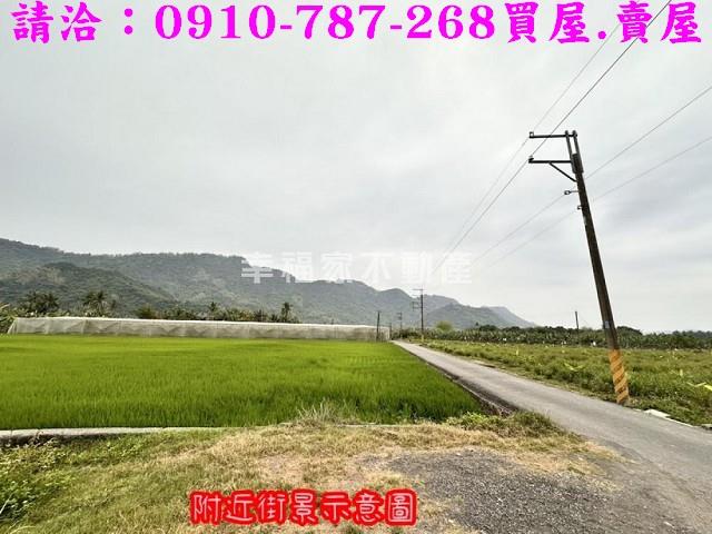 旗山農地-8