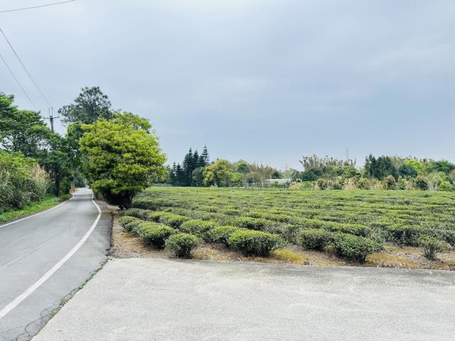 龍潭農地-3