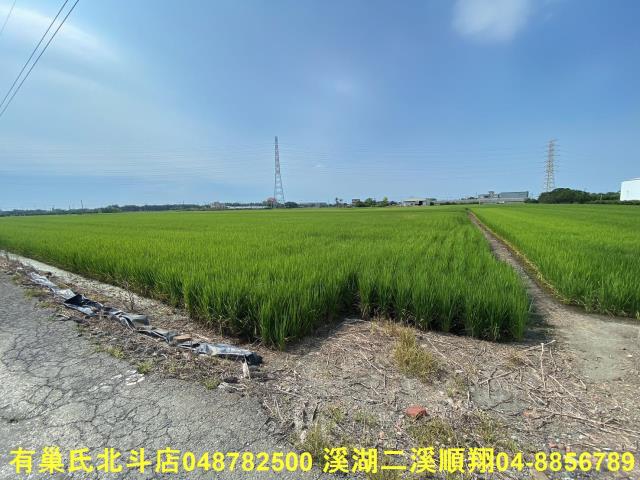 二林農地-4