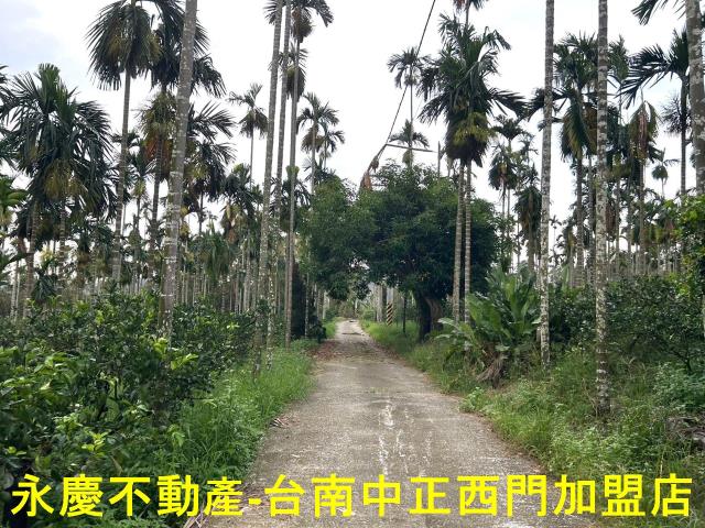白河農地-2