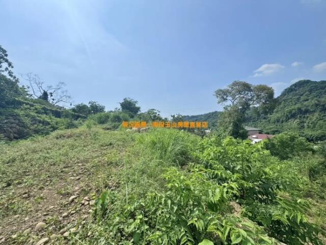 南投南投市農地-4