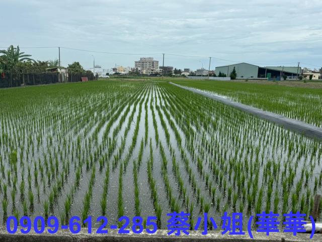 高雄橋頭農地-2