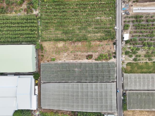 高雄岡山農地-11