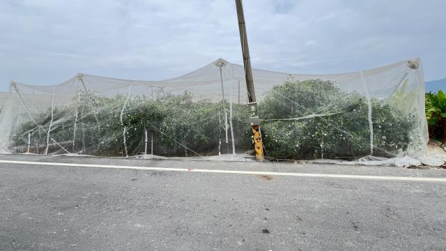 高雄岡山農地-2