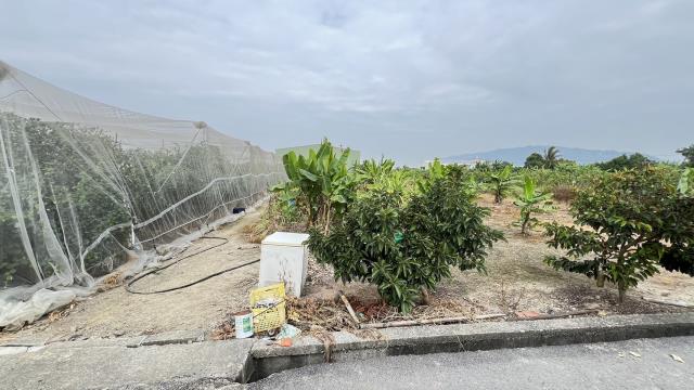 高雄岡山農地-4