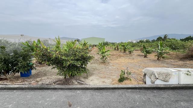 高雄岡山農地-5