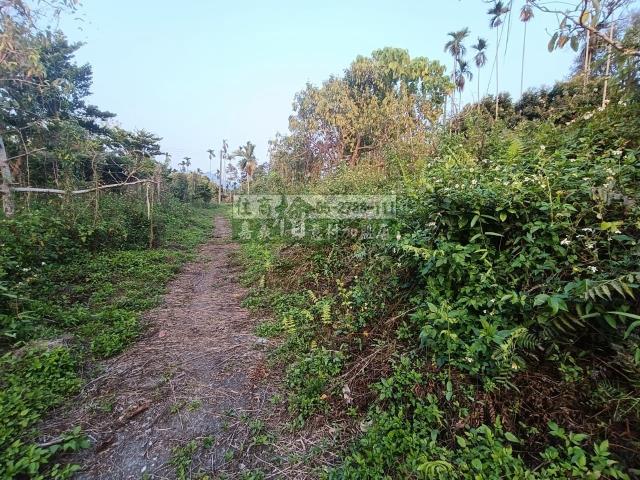 嘉義中埔農地-6