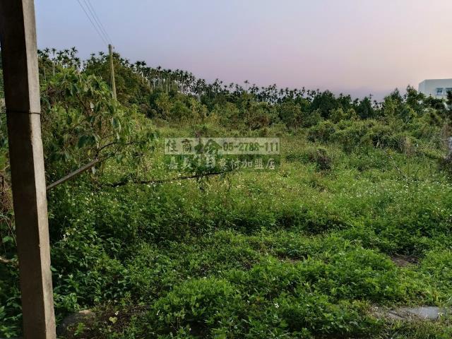 嘉義中埔農地-7