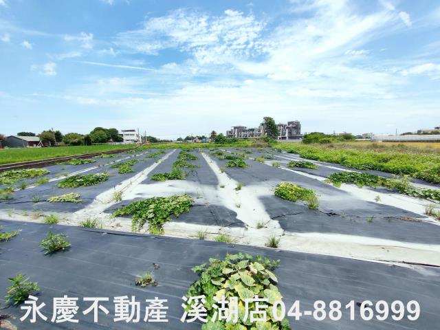 埔鹽農地-10