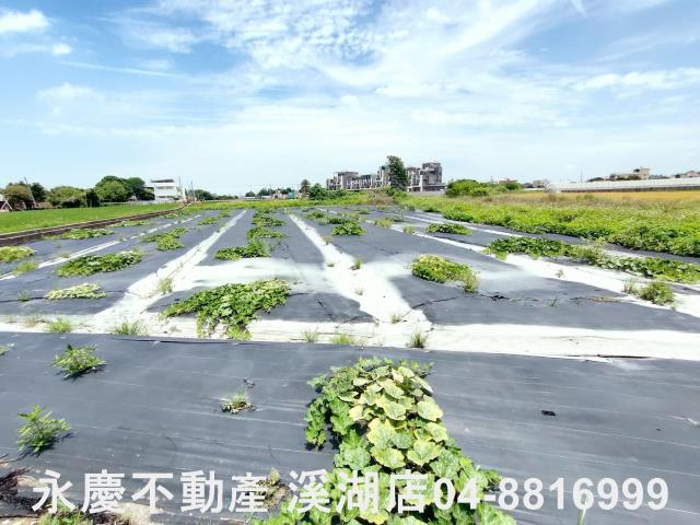 埔鹽農地-1