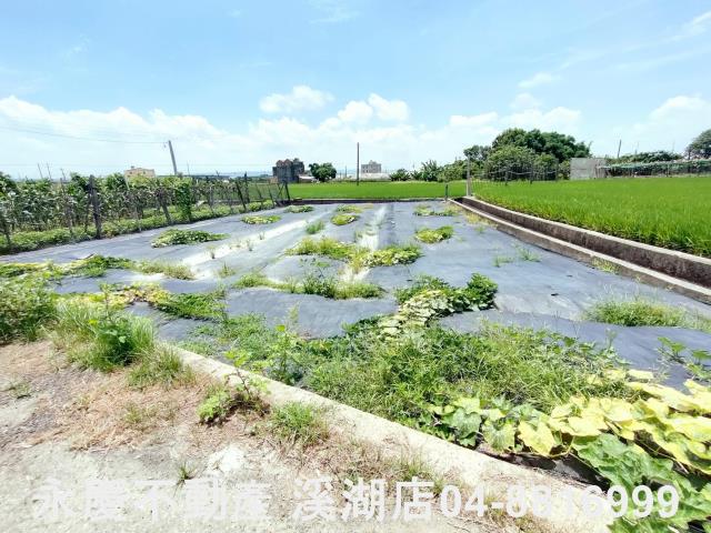 埔鹽農地-2