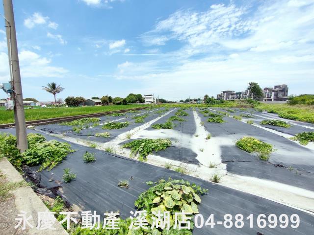 埔鹽農地-4