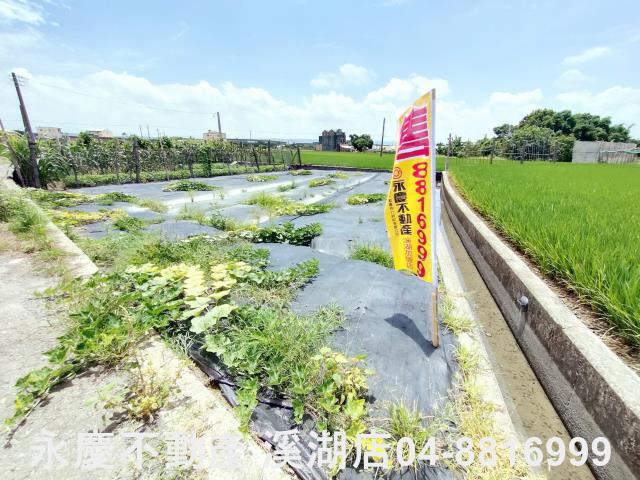 埔鹽農地-6