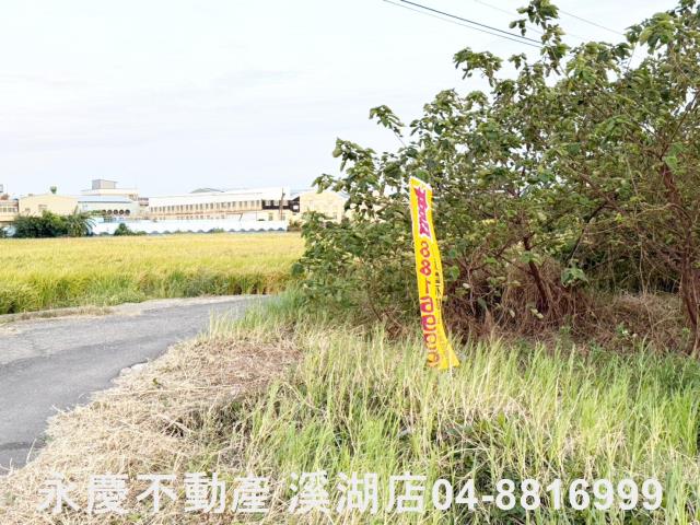 和美農地-4
