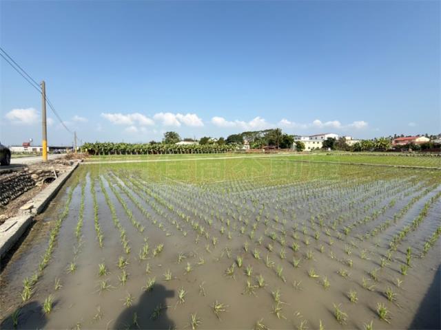 美濃農地-3
