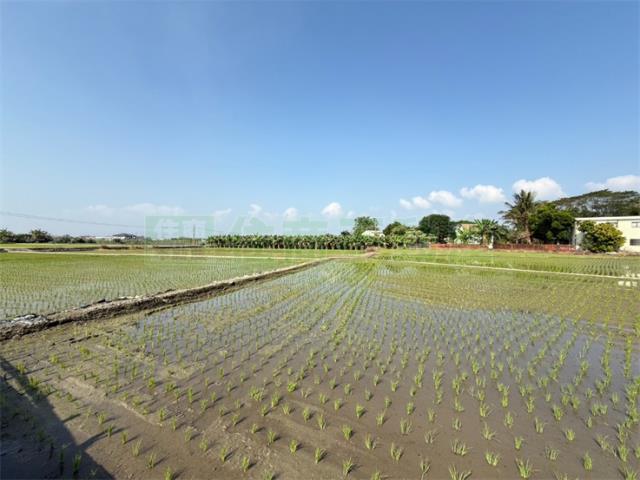 美濃農地-8