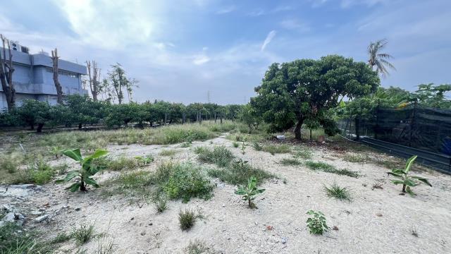 岡山農地-1