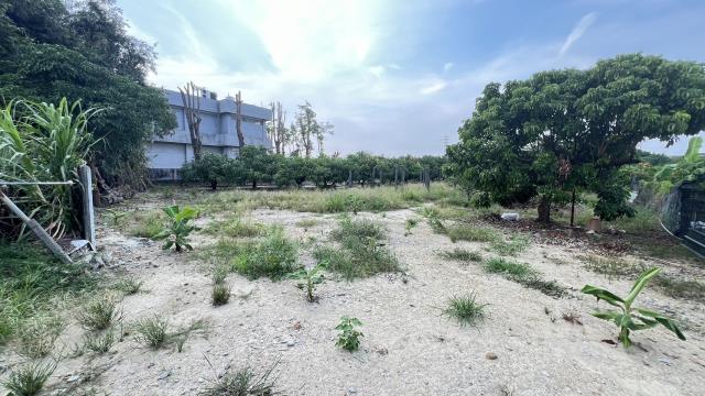 岡山農地-4