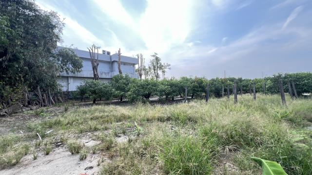 岡山農地-5