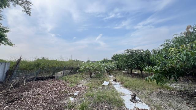 岡山農地-8