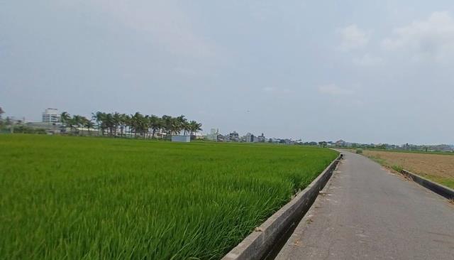 高雄農地-4