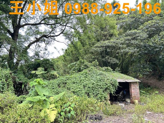 桃園建地-3