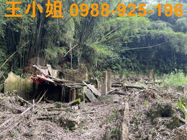 桃園建地-6