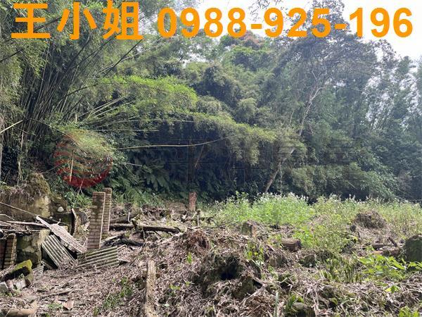 桃園建地-8