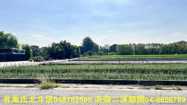 彰化溪州農地-1