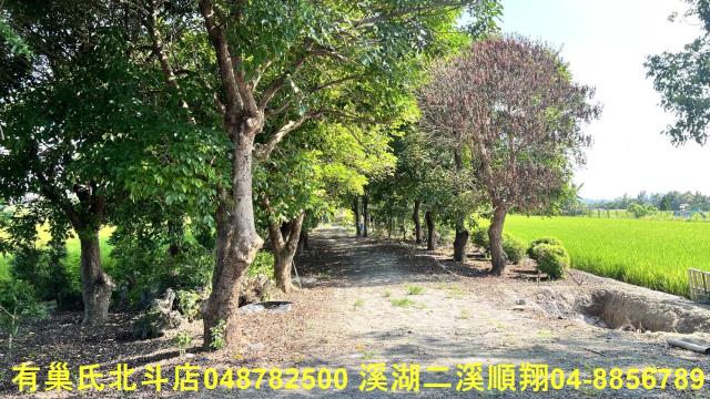 彰化溪州農地-2