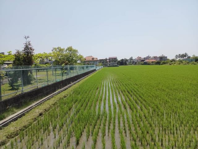 高雄美濃農地-10