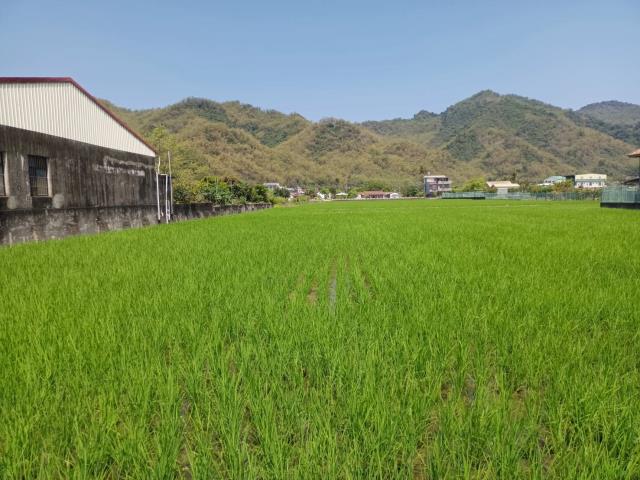 高雄美濃農地-2