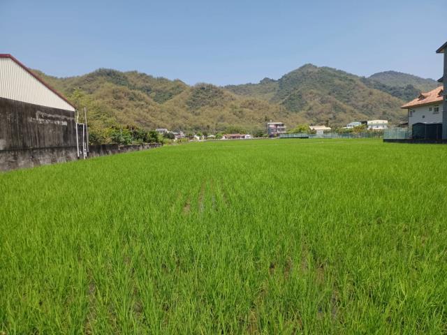 高雄美濃農地-3