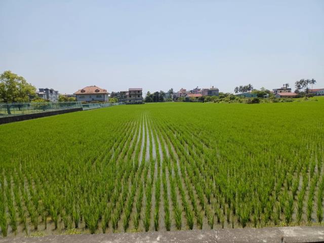 高雄美濃農地-9