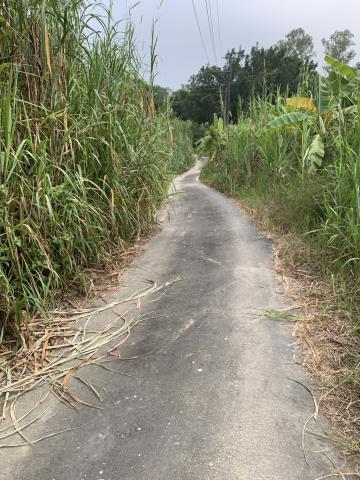 高雄內門農地-1