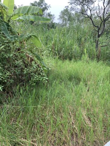 高雄內門農地-4