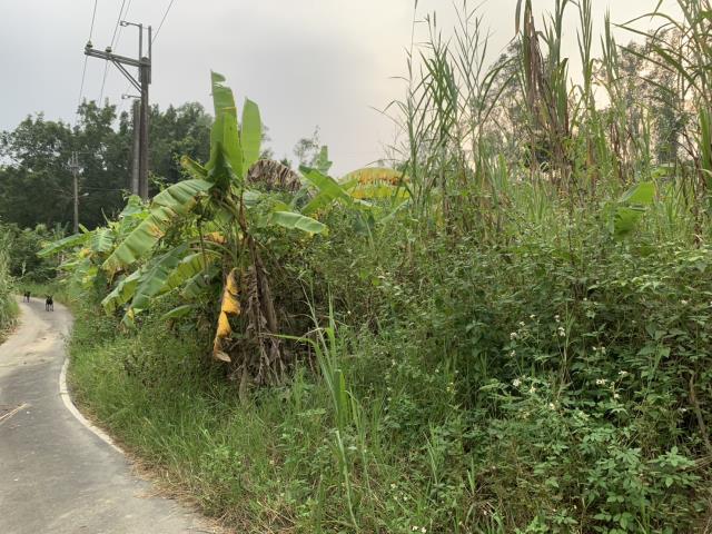 高雄內門農地-5