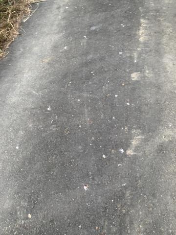 高雄內門農地-6